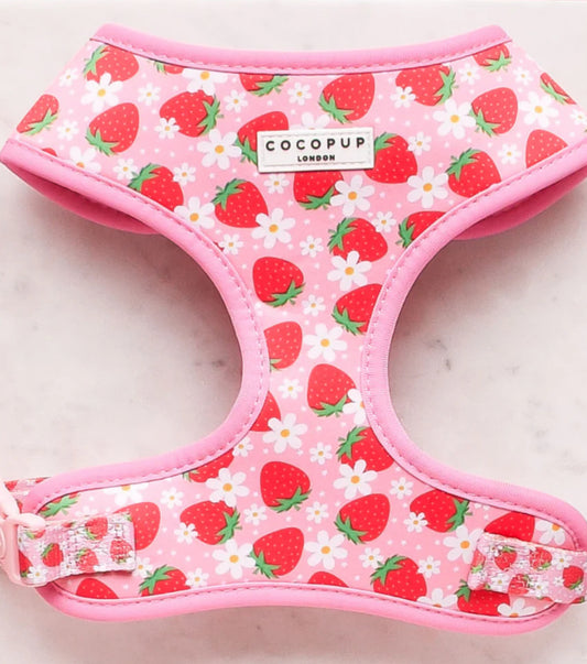 Cocopup London - 🍓 Pupberry Fields Adjustable Neck Harness