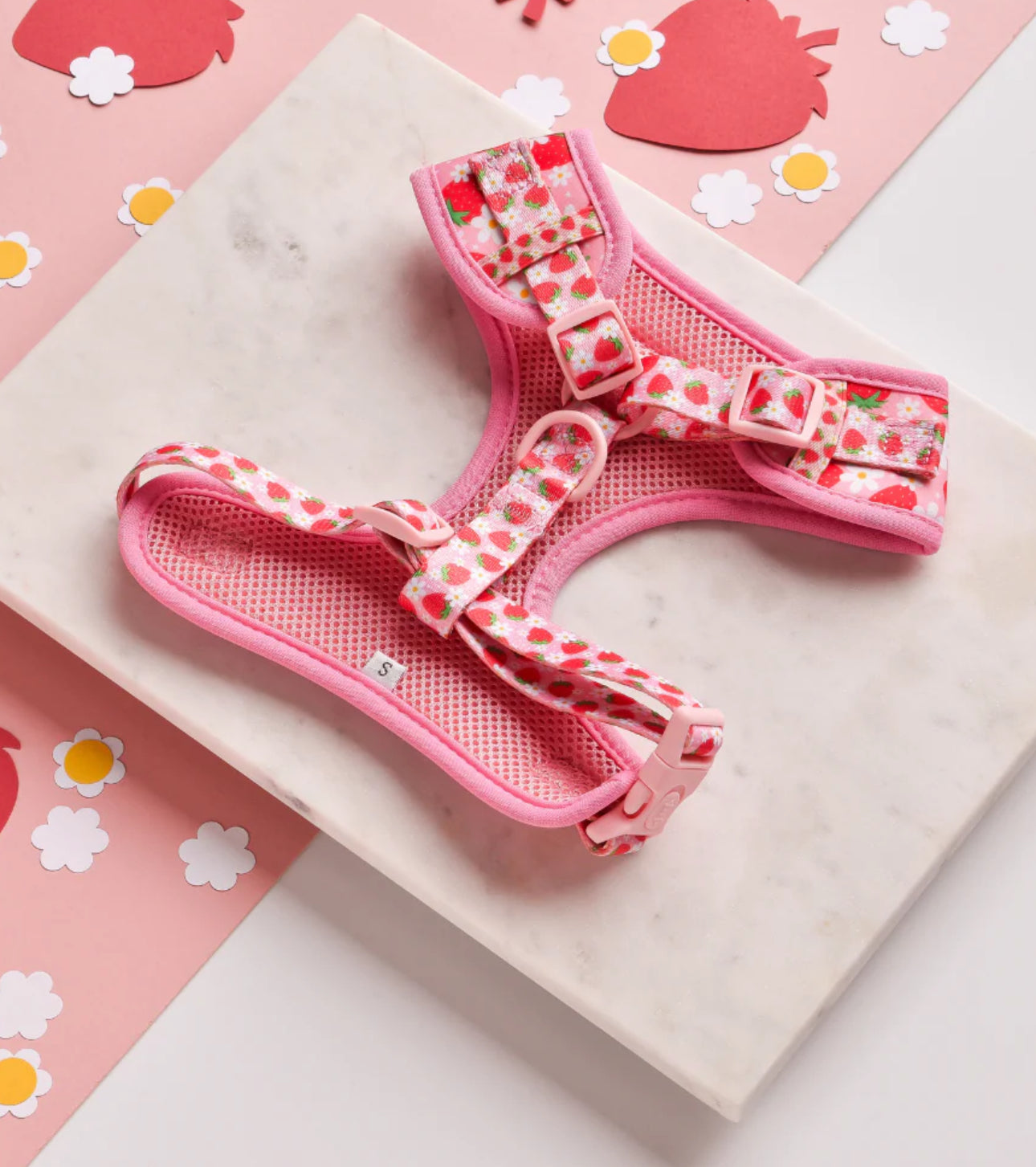 Pupberry Fields Adjustable Neck Harness