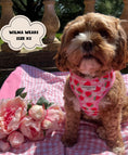 Load image into Gallery viewer, Pupberry Fields Adjustable Neck Harness

