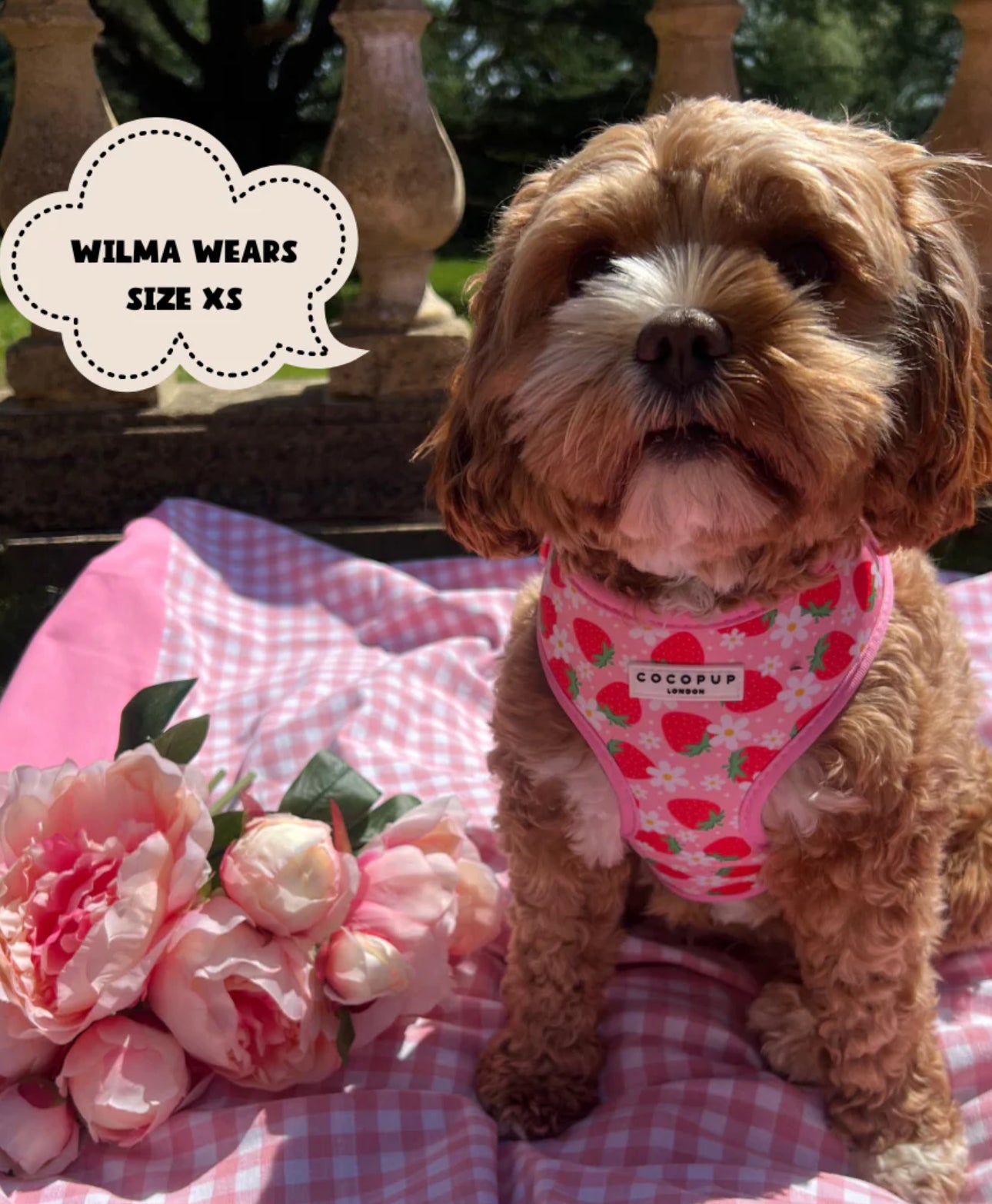 Pupberry Fields Adjustable Neck Harness