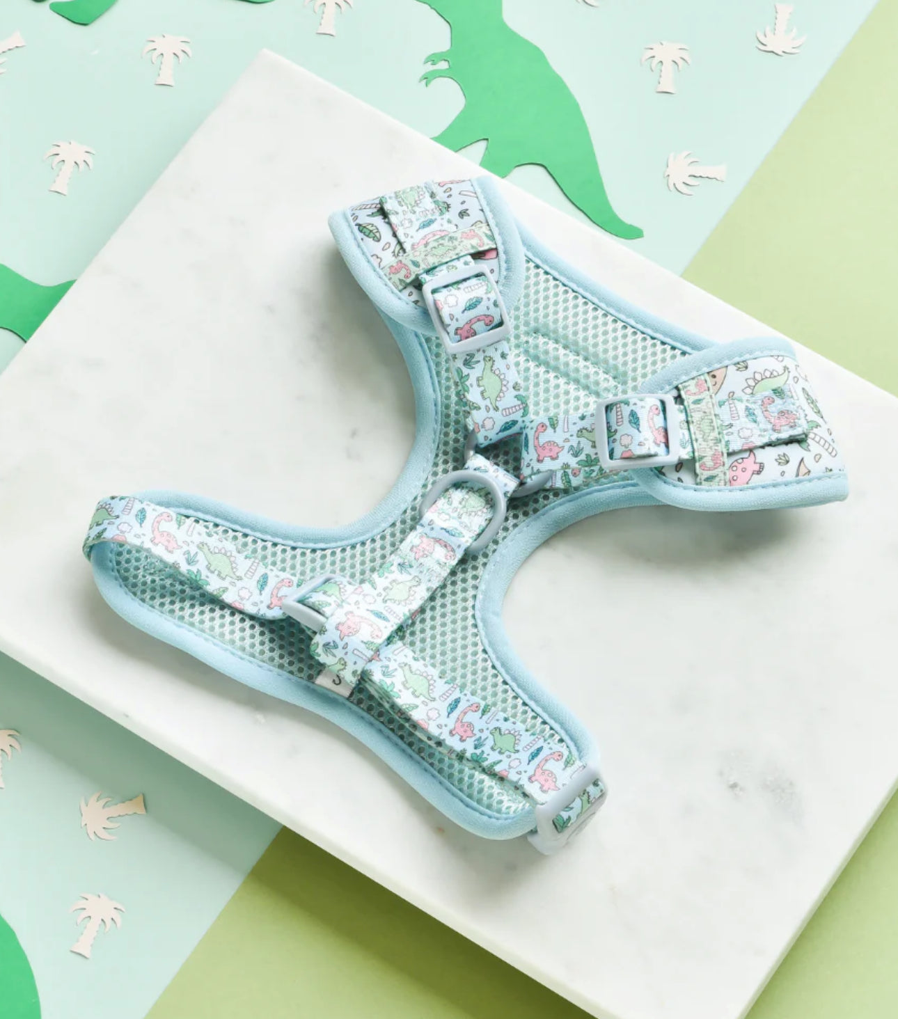 Dinopaws Adjustable Neck Harness