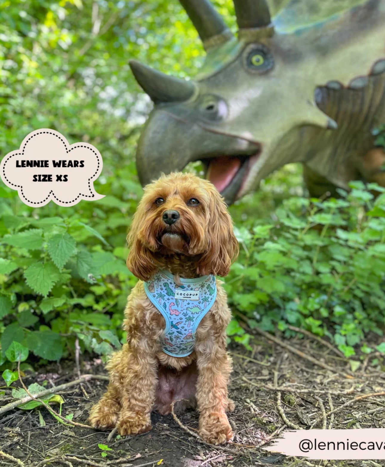 Dinopaws Adjustable Neck Harness