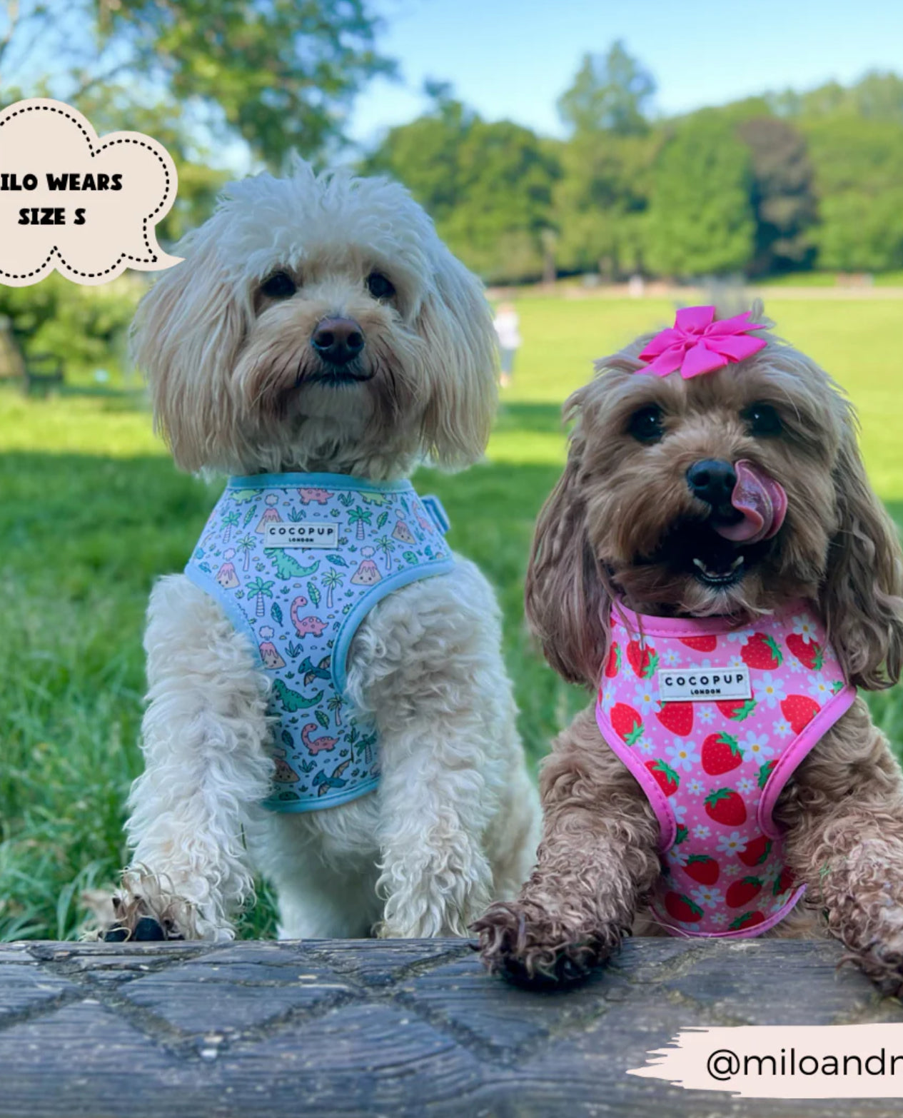 Dinopaws Adjustable Neck Harness