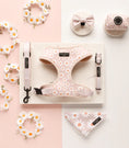 Load image into Gallery viewer, Daisy Chain Adjustable Neck Harness
