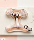 Load image into Gallery viewer, Daisy Chain Adjustable Neck Harness
