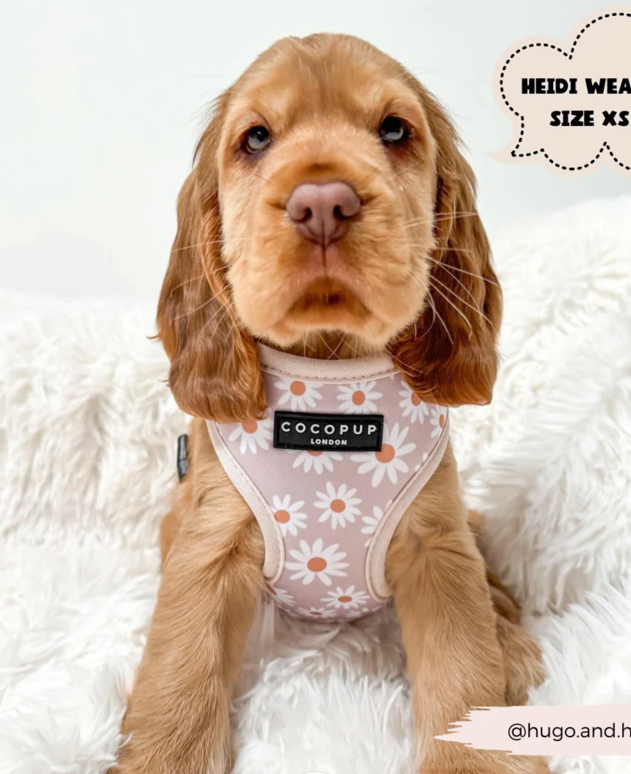 Daisy Chain Adjustable Neck Harness
