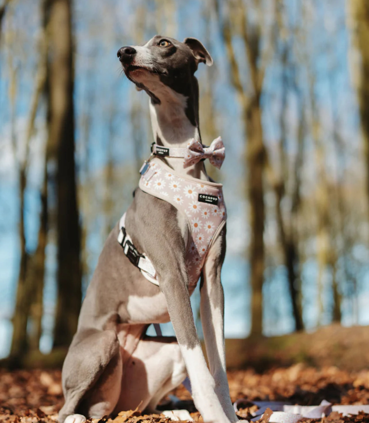 Daisy Chain Adjustable Neck Harness