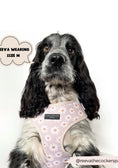 Load image into Gallery viewer, Daisy Chain Adjustable Neck Harness
