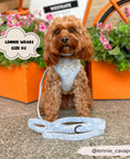 Load image into Gallery viewer, Baby Blue Flower LUXE Adjustable Harness
