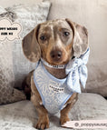 Load image into Gallery viewer, Baby Blue Flower LUXE Adjustable Harness
