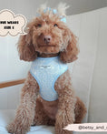 Load image into Gallery viewer, Baby Blue Flower LUXE Adjustable Harness
