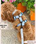 Load image into Gallery viewer, Baby Blue Flower LUXE Adjustable Harness
