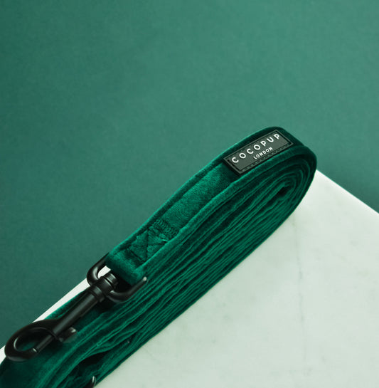 Forest Green LUXE Velvet Lead