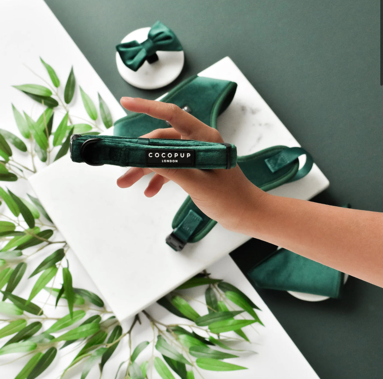 Forest Green LUXE Velvet Collar