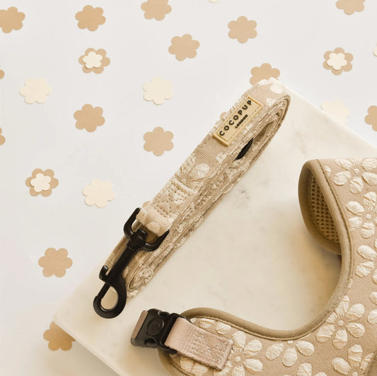 Cocopup London - 🌸 Mocha Flower LUXE Lead