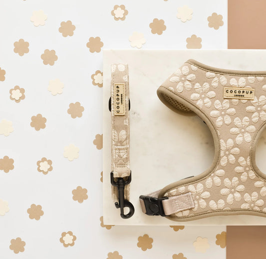 Cocopup London - 🌸 Mocha Flower LUXE Lead