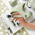 Load image into Gallery viewer, Sage Heart LUXE Collar
