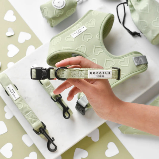 Cocopup London - 💚Sage Heart LUXE Collar