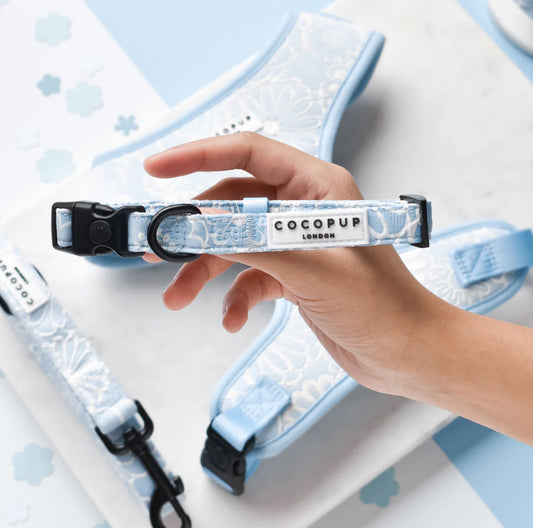 Cocopup London - 💙 Baby Blue Flower LUXE Collar
