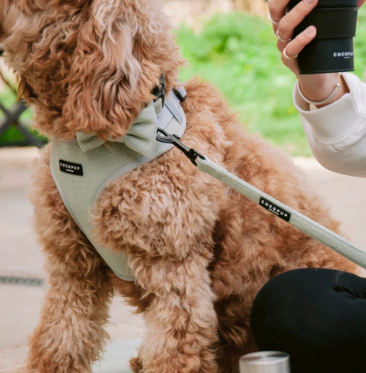 Cocopup London - 🌿 Tweed Lead – Sage
