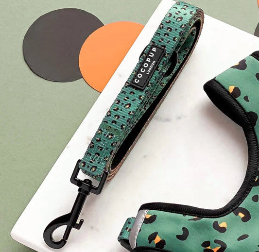 Khaki Leopard Lead