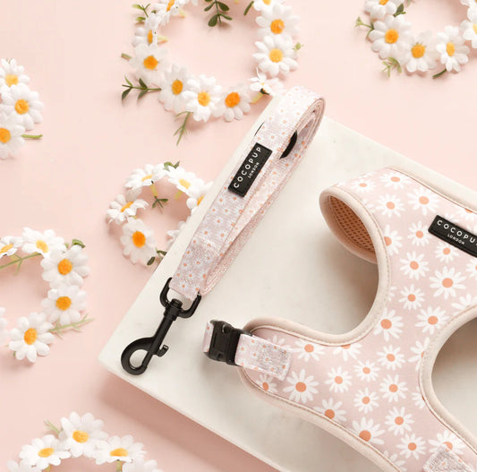 Daisy Chain Lead