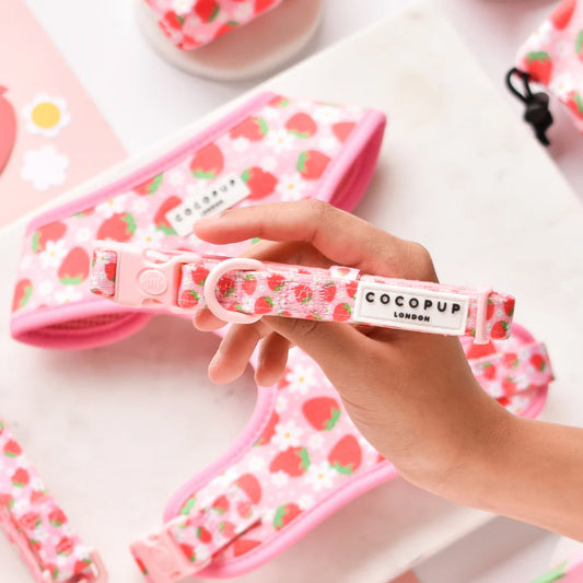 Cocopup London - 🍓Pupberry Fields Collar