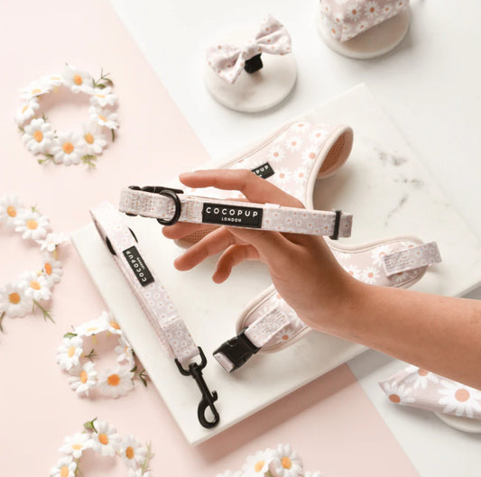 Cocopup London - 🌼Daisy Chain Collar