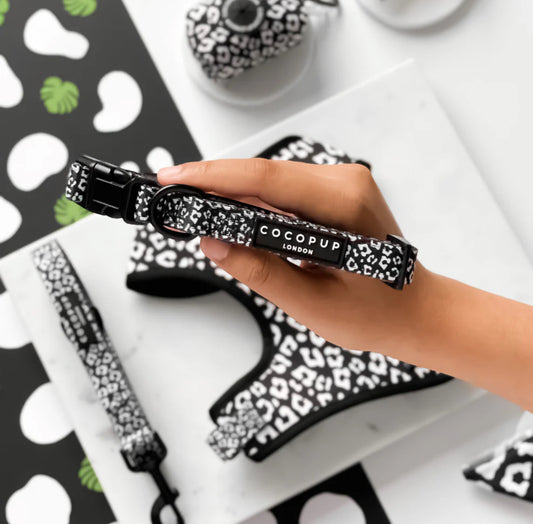 Cocopup London -🖤 Black Leopard Collar