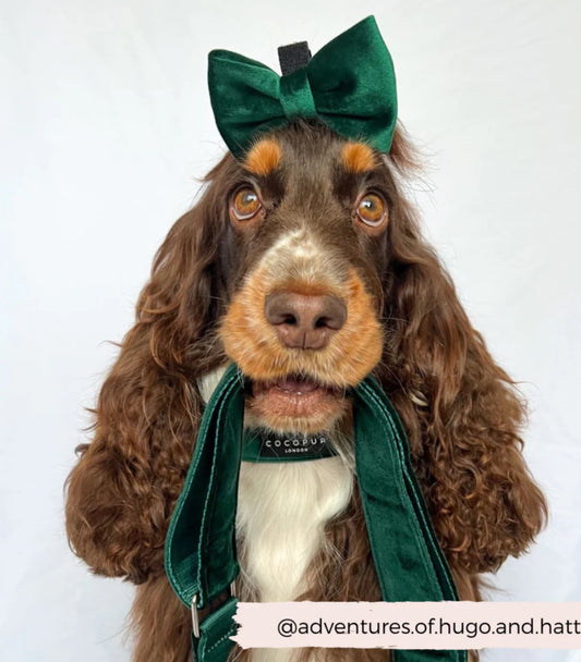 Cocopup London - Bag Strap -💚Forest Green LUXE Velvet