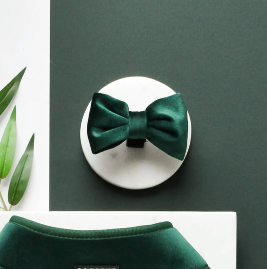 Cocopup London - 💚Forest Green LUXE Velvet Bow Tie
