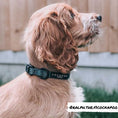 Load image into Gallery viewer, Khaki Leopard Collar

