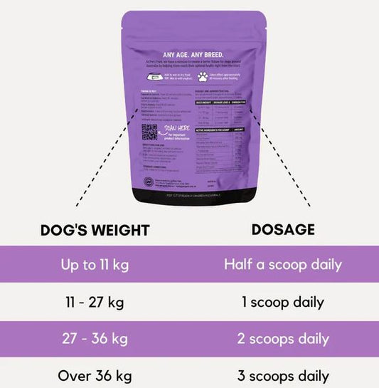 PetzPark - Stress + Anxiety for Dogs