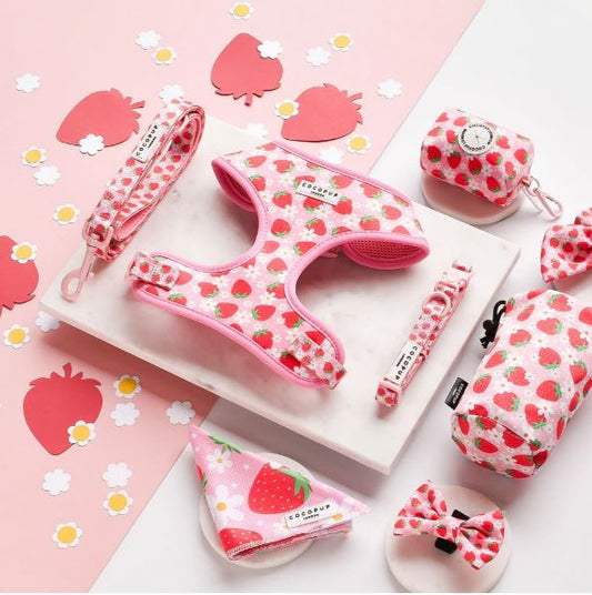 Cocopup London - 🍓Pupberry Fields Collar