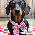 Load image into Gallery viewer, Pupberry Fields Sailor Bow Tie
