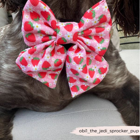 Cocopup - 🍓Pupberry Fields Sailor Bow Tie