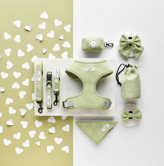 Cocopup London - 💚Sage Heart LUXE Collar