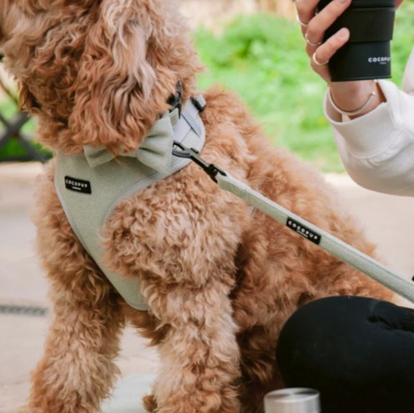 Cocopup London - 🌿 Sage Tweed Adjustable Harness
