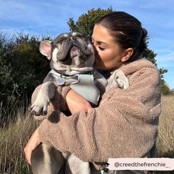 Cocopup London - 🌿 Sage Tweed Adjustable Harness