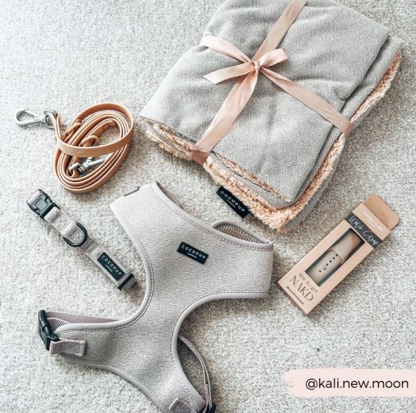 Cocopup London - 🌿 Sage Tweed Adjustable Harness