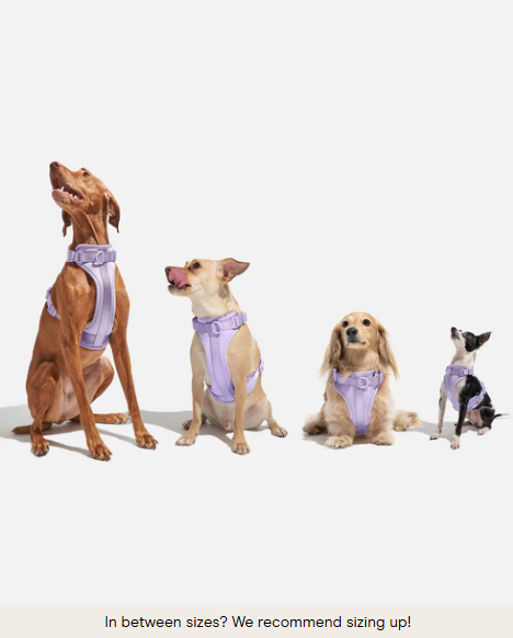 Cushioned Dog Harness: Moonstone