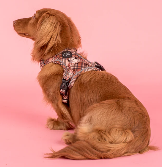 Kensington: No Pull Adventure Harness