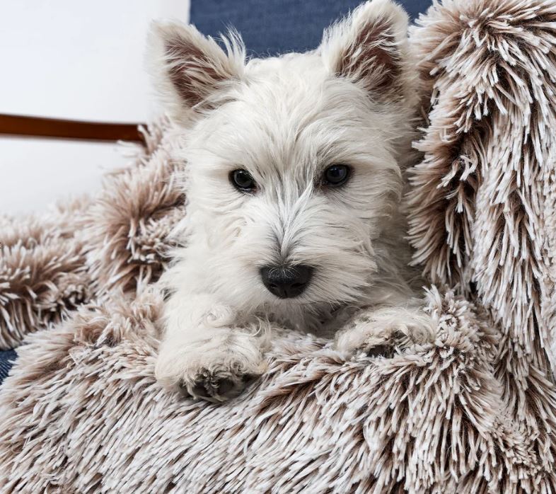 Calming Cuddler Blanket - Mink