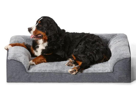 Snooza - Ortho Dream Sofa - Chinchilla