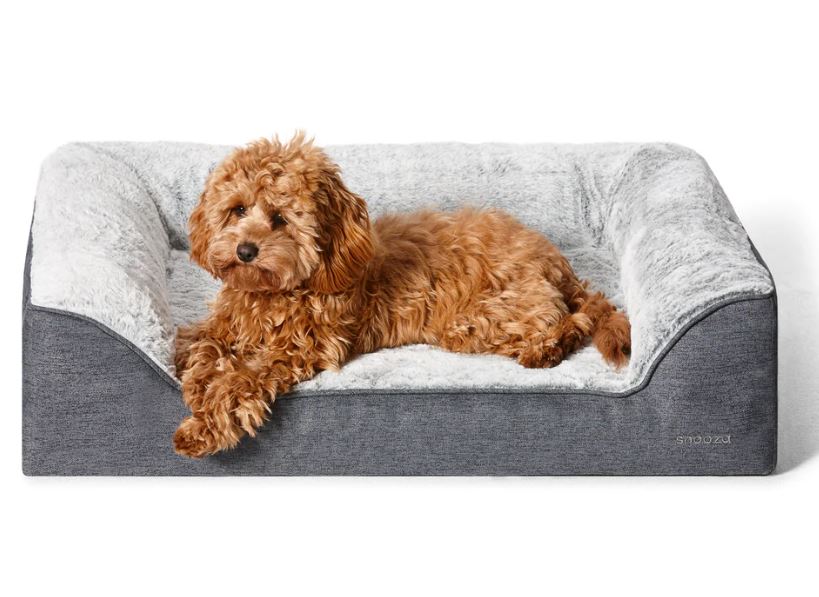 Ortho Dream Sofa - Chinchilla