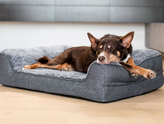 Snooza - Ortho Dream Sofa - Chinchilla