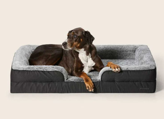 Snooza - Ultra Tuff Ortho Retreat