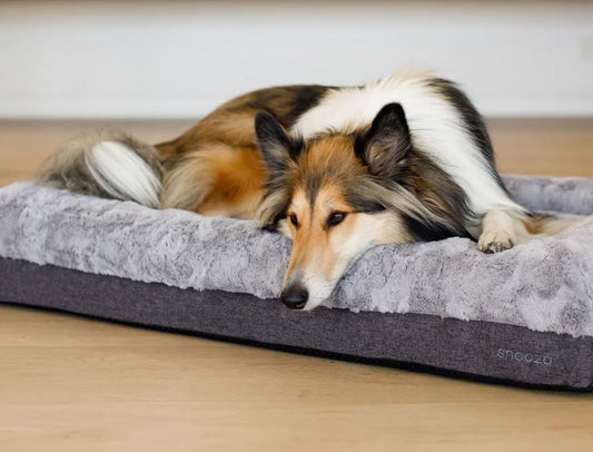 Snooza Orthopaedic - Ultra Comfort Lounge - Frost