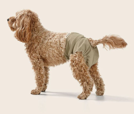 Snooza - Washable Dog Nappy - Twin Pack for Female Dogs