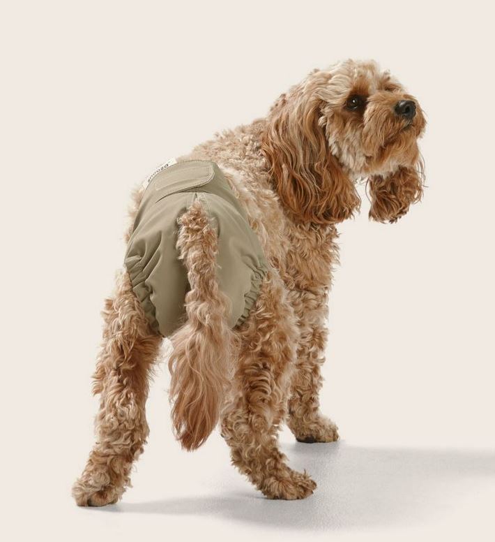Snooza - Washable Dog Nappy - Twin Pack for Female Dogs